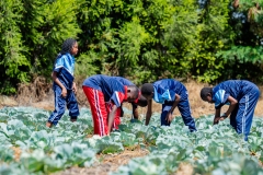 AGRI2